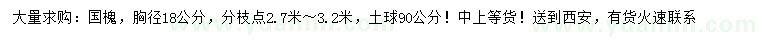 求購胸徑18公分國槐