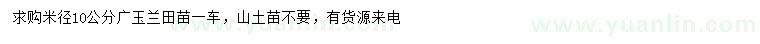 求購米徑10公分廣玉蘭