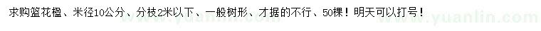 求購米徑10公分藍花楹