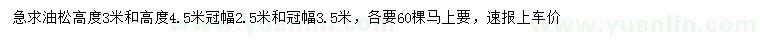 求購高3、4.5米油松