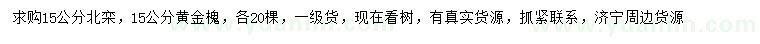 求購15公分北欒、黃金槐