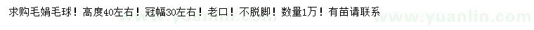 求購高40公分左右毛鵑球