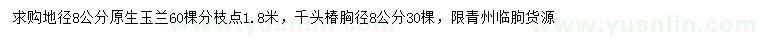 求購地徑8公分玉蘭、千頭椿
