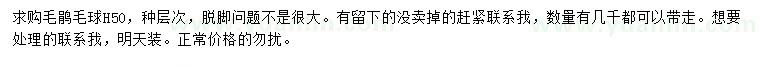 求購高50公分毛鵑球