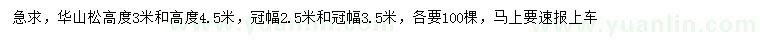 求購高3、4.5米華山松