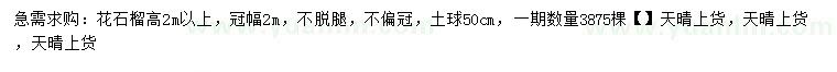 求購高2米以上花石榴