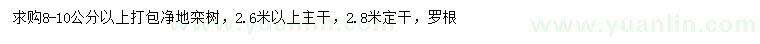 求購8-10公分以上欒樹