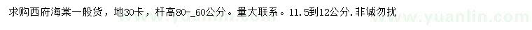 求購(gòu)11.5-12公分西府海棠