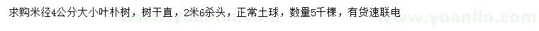 求購米徑4公分樸樹