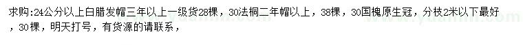 求購白蠟、法桐、國槐