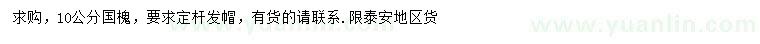求購(gòu)10公分國(guó)槐