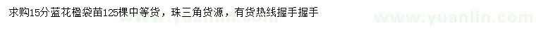 求購15公分藍(lán)花楹