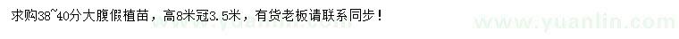 求購(gòu)38-40公分大腹