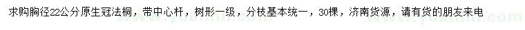 求購胸徑22公分法桐