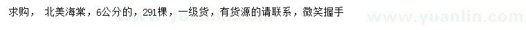 求購6公分北美海棠