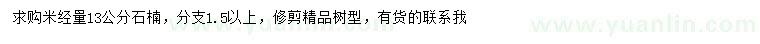 求購米徑13公分石楠