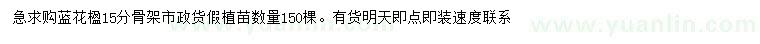求購(gòu)15公分藍(lán)花楹