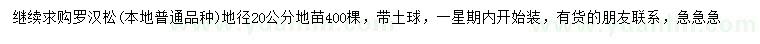 求購地徑20公分羅漢松
