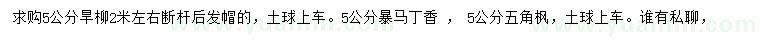 求購旱柳、暴馬丁香、五角楓