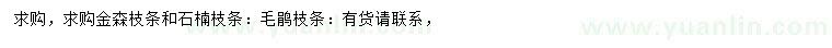 求購金森枝條、石楠枝條、毛鵑枝條