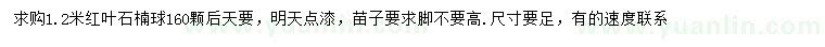 求購(gòu)1.2米紅葉石楠球