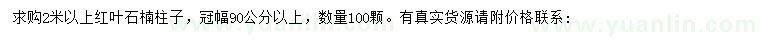 求購2米以上紅葉石楠柱子