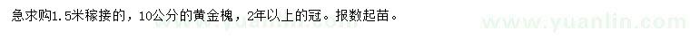 求購10公分黃金槐