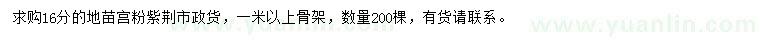 求購16公分宮粉紫荊