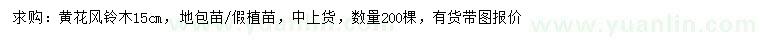 求購15公分黃花風(fēng)鈴木