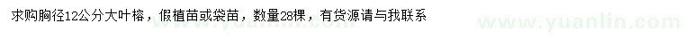 求購胸徑12公分大葉榕