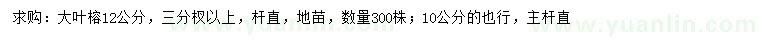 求購(gòu)10、12公分大葉榕