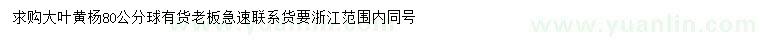 求購80公分大葉黃楊球