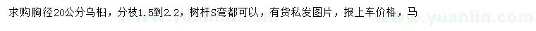 求購胸徑20公分烏桕