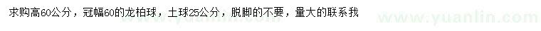求購高60公分龍柏球