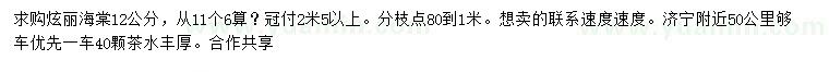 求購12公分絢麗海棠