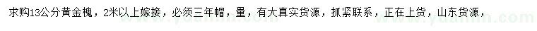 求購(gòu)13公分黃金槐
