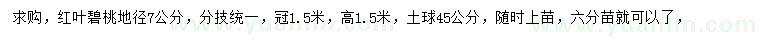 求購地徑7公分紅葉碧桃