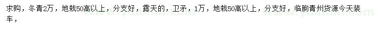 求購(gòu)高50公分以上冬青、衛(wèi)矛