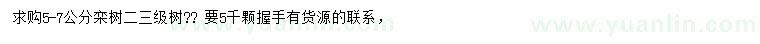 求購5-7公分欒樹