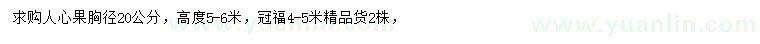 求購胸徑20公分人心果