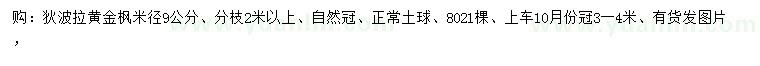 求購(gòu)米徑9公分狄波拉黃金楓