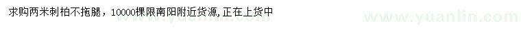 求購2米刺柏