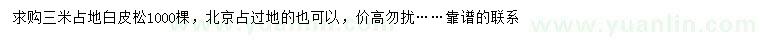 求購3米白皮松