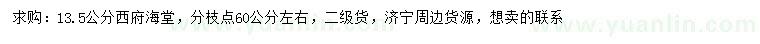 求購13.5公分西府海棠