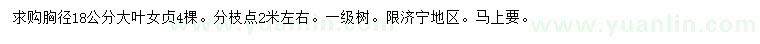求購(gòu)胸徑18公分大葉女貞