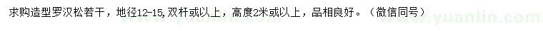 求購地徑12-15公分造型羅漢松