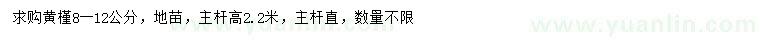 求購8-12公分黃槿