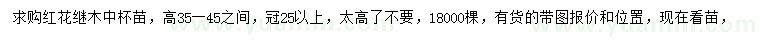 求購高35-45公分紅花繼木