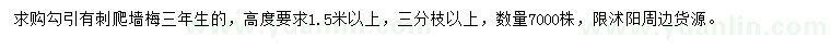 求購高1.5米以上爬墻梅