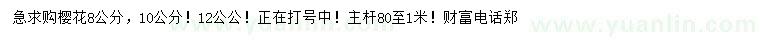 求購8、10、12公公櫻花